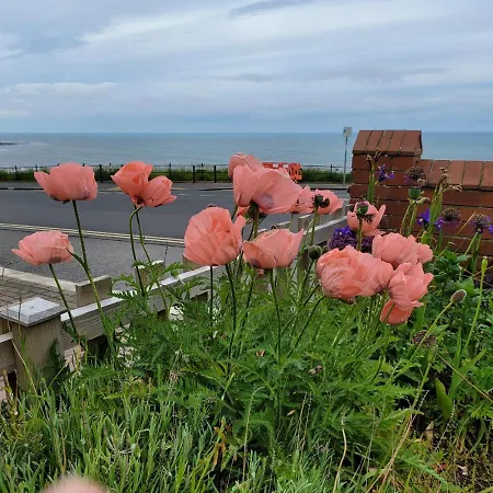 Sea Side Flat 3 With Fast Wifi And Free Parking Scarborough