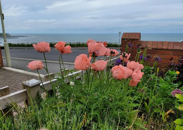 Sea Side Flat 3 With Fast Wifi And Free Parking Scarborough